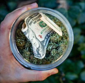 firt time patient discounts at Cypress Quarters medical marijuana dispensaries
