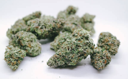 Medical Marijuana Dispensaries in Palm Beach Gardens, Florida