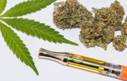 Live a healthier lifestyle with St. Petersburg medical marijuana dispensary products